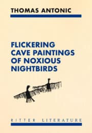 FLICKERING CAVE PAINTINGS OF NOXIOUS NIGHTBIRDS / FLACKERNDE FELSBILDER ÜBLER NACHTVÖGEL