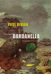 DARDANELLA