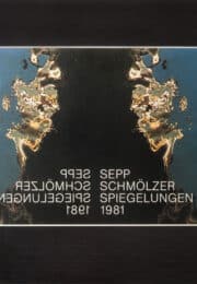 Spiegelungen 1981